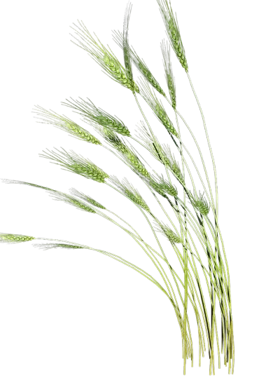 

11pcs / 13pcs Stainless Steel Cocktail Shaker Bar Set Cocktail Apparatus Boston Shaker Bartender browserKit Bars Set Tools