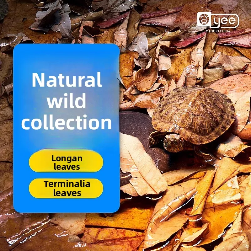 Hojas ocultas de tanque de tortuga Yee y hojas de Longan secas reductoras naturales de pH para tortugas acuáticas, peces betta, tanques de camarones (sin ebullición)