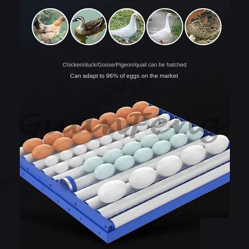204/136 Large and medium-sized incubators, fully automated incubators
