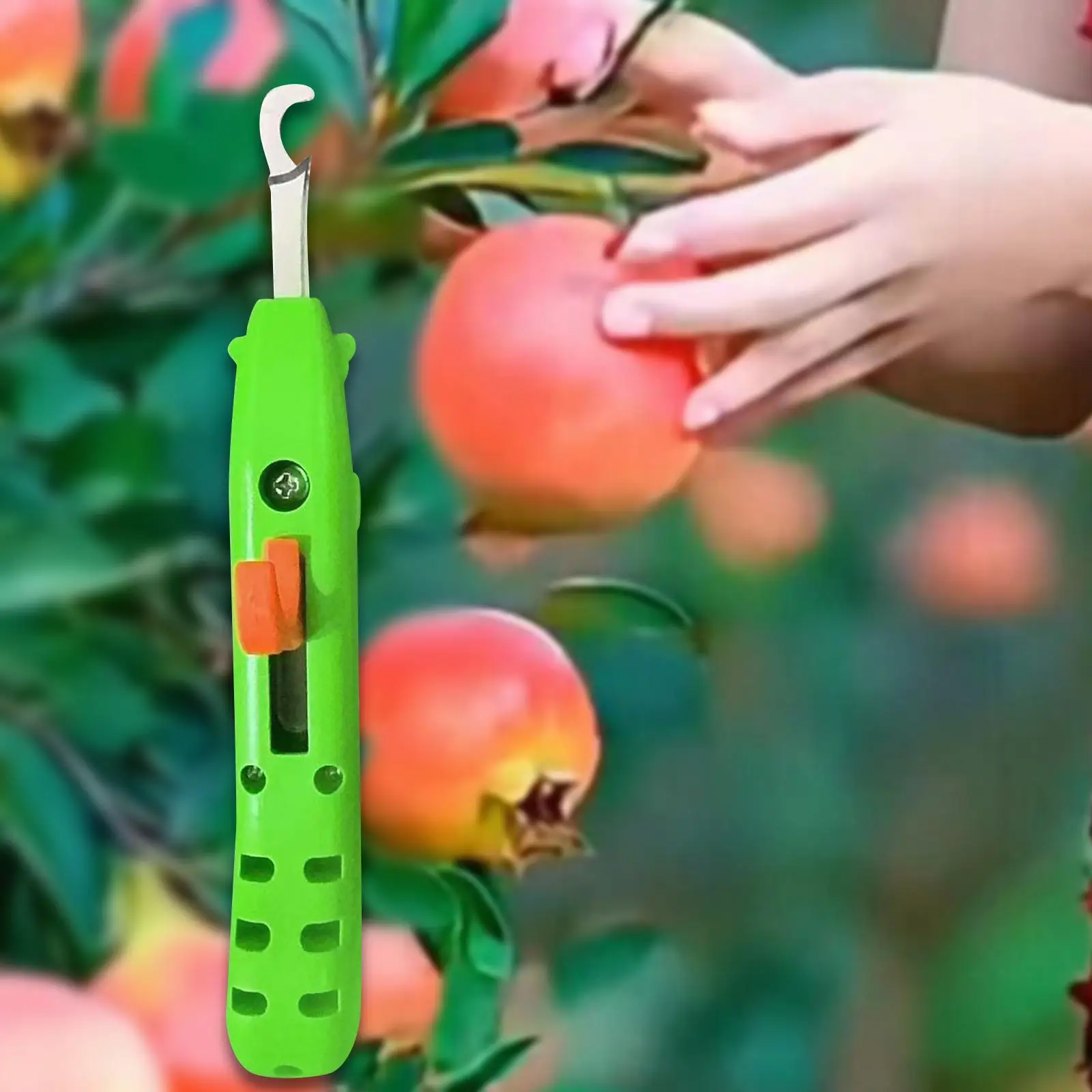 Strumento per la raccolta di verdure Raccoglitrice di pepe ergonomica veloce Strumento per la raccolta di potatura di fiori per uva melograno peperoncino pomodoro giardinaggio