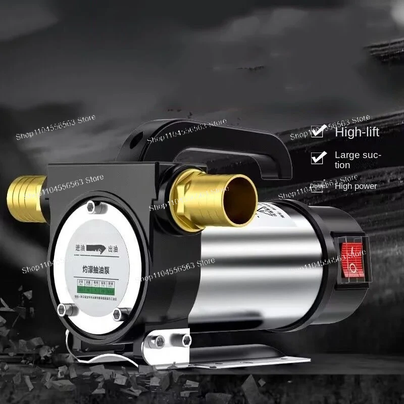 580W Electric Self-Priming Pump, 220V/DC 12V-24V, 50L/min for Oil, Diesel & Well Water Delivery