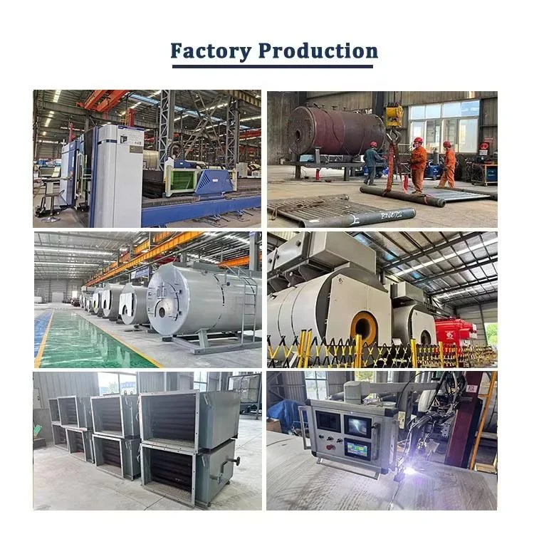 Oil Steam Generator Commercial Steam Equipment for Central Kitchen Project