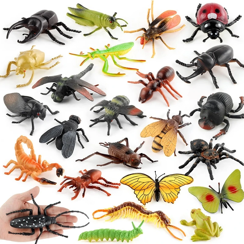 Dorcus Intermedius Specimens Of Atlas Subspecies Of Insects Real Beetles Stag Beetles Giddyups And Butterflies For Collectors