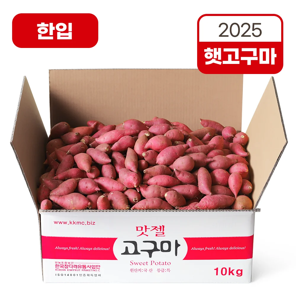맛젤 여름고구마 햇고구마 한입사이즈 2025년산 3kg 5kg 10kg