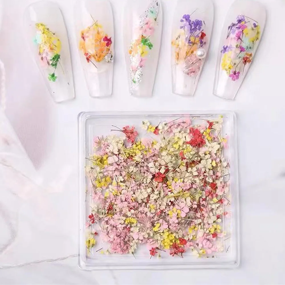 Mixed Color Dried Flowers for Nails Design Stickers Colorful Dried Flower Decoration Decal Floral Manicure Accessories Parts