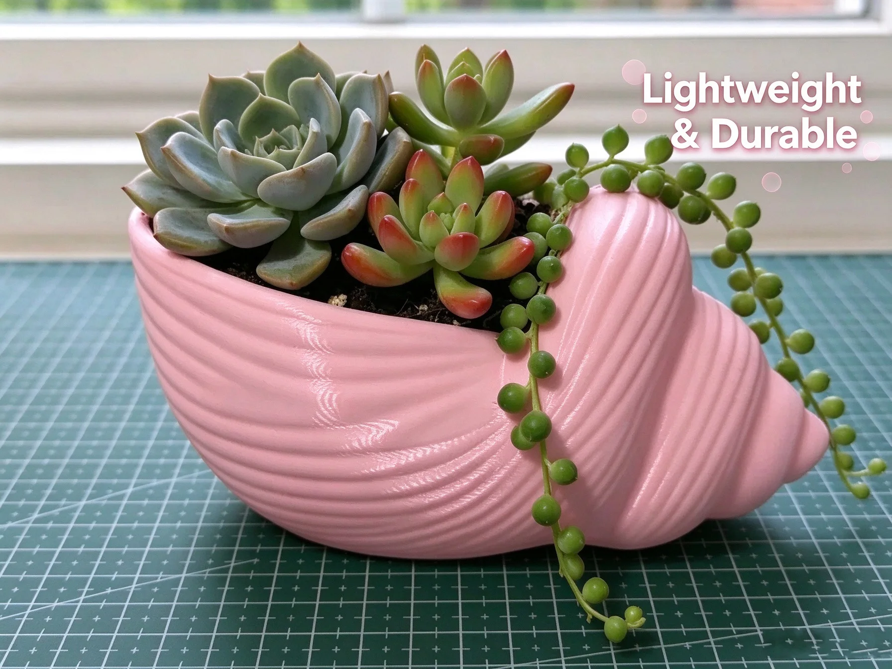 3D Printed Conch Shell Planter, Cute Pink Seashell Succulent Pot, Creative Home Desktop Decor Flower Pot, Gift for Plant Lovers