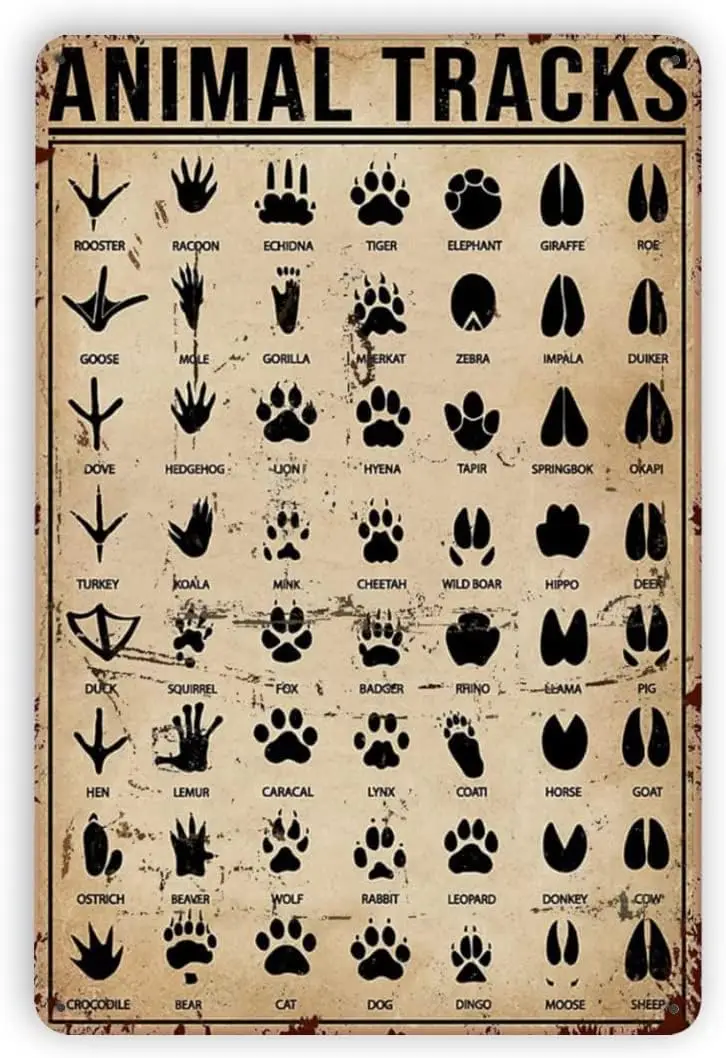 Plaque Métallique Vintage en Aluminium, Affiche Murale Rétro avec Empreintes d'Animaux et Connaissances de Chasse, Décoration Murale Nostalgique en Fer Forgé