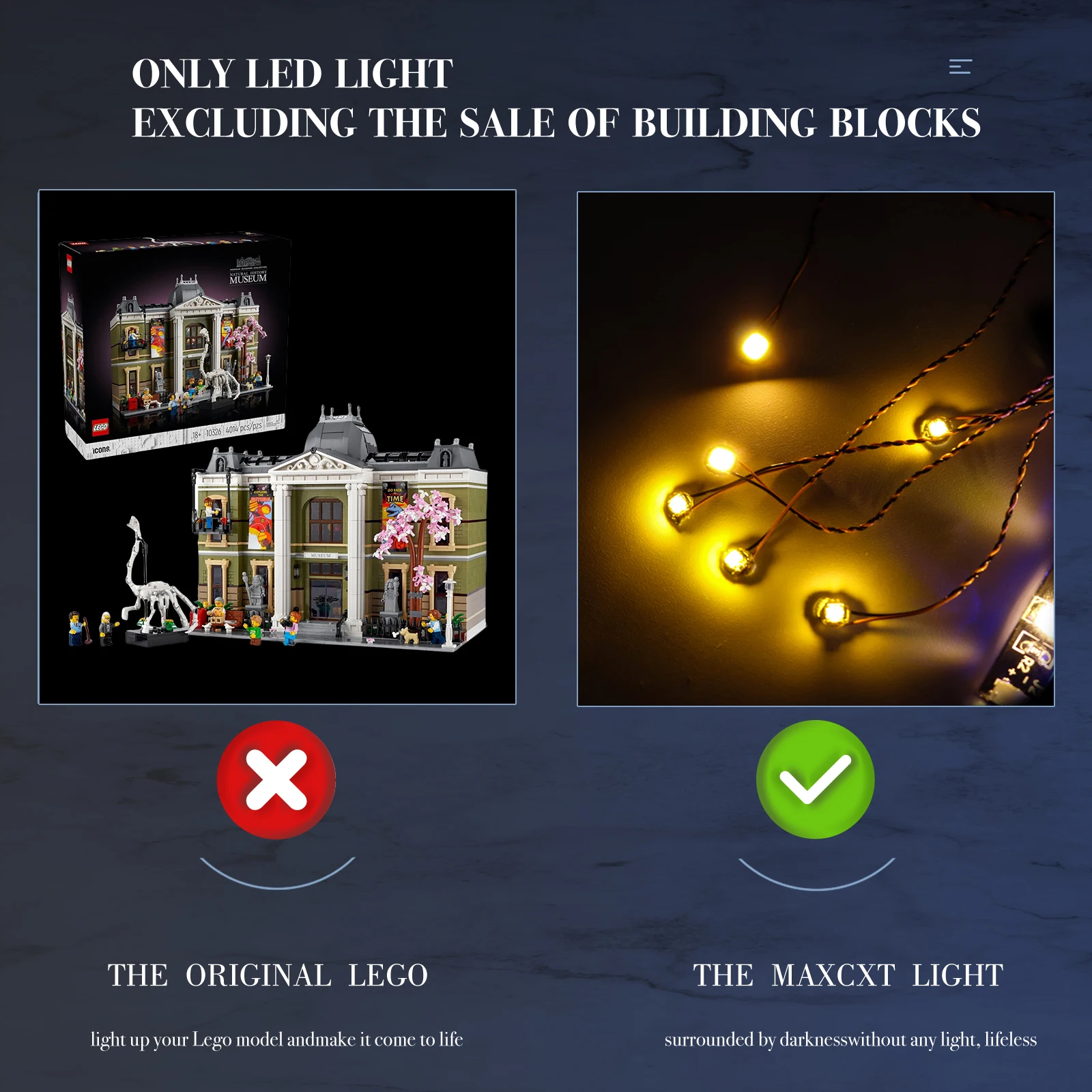 (Not Building Blocks) LED Light For LEGO 10326 Icons Natural History Museum Modular Adults Light Up your Model Decorative Lamp