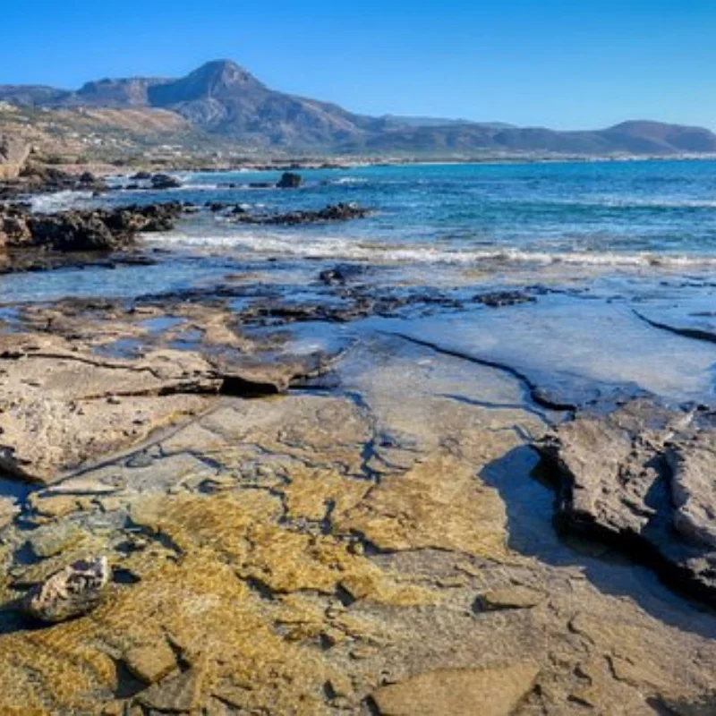 

4 шт., прочные шины для игрушечной модели автомобиля 1/10, шины для внедорожников Srx2 Srx4 Bandit, шины для Tekno Eb410 Yokomo Yz4 RC Crawler Car