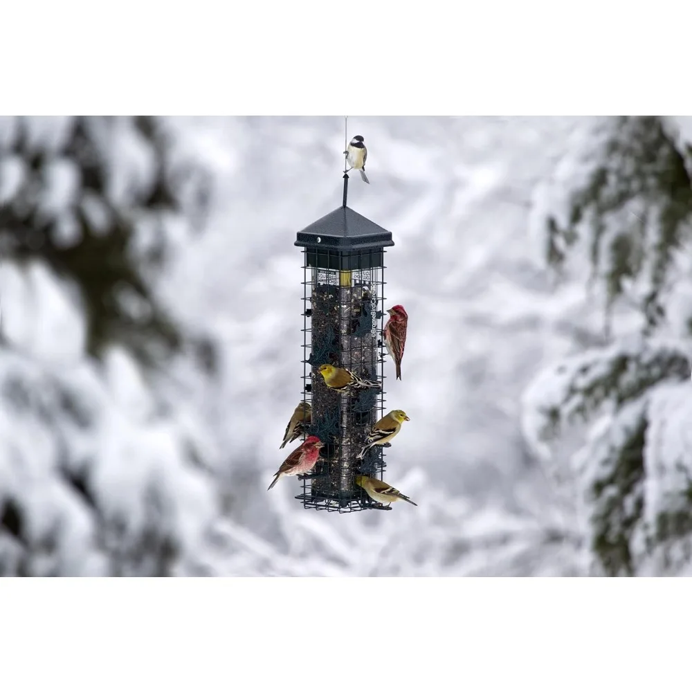 ترقية جديدة لحل السنجاب 200 وحدة تغذية الطيور المقاومة للسنجاب مع 6 منافذ تغذية، سعة بذور 3.4 رطل، قمع بذور مجاني - شائع #6