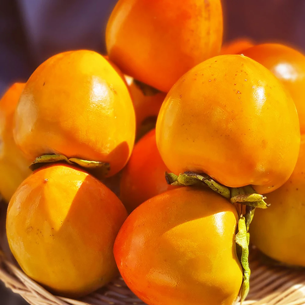 الشحنة الأولى! بيرسيمونز دايبونج الحلو 2 كجم، صغير إلى متوسط الحجم (حوالي 10 فواكه)