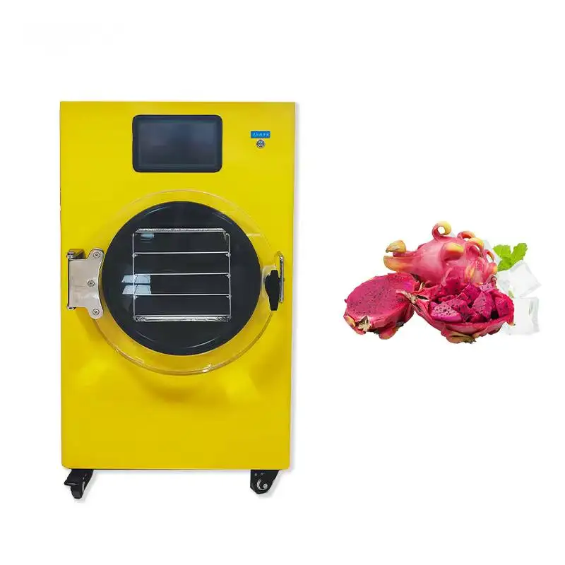 4Kg 6Kg 8Kg 10Kg Food Processing Lyophilizer Small Commercial Automatic Vacuum Freeze Dryer