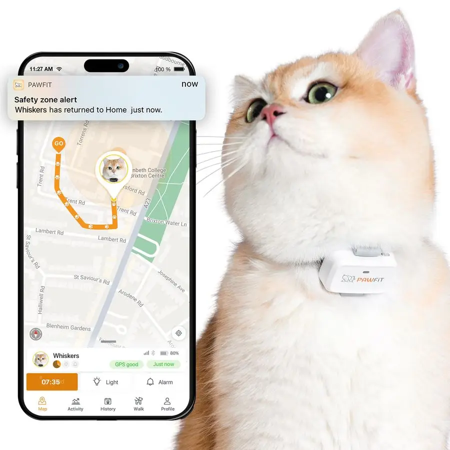 

Lite for Cats 4g GPS Tracker UltraSmall lt18g Design RealTime Tracking Activity Monitoring Location History Unlimited Range Safe