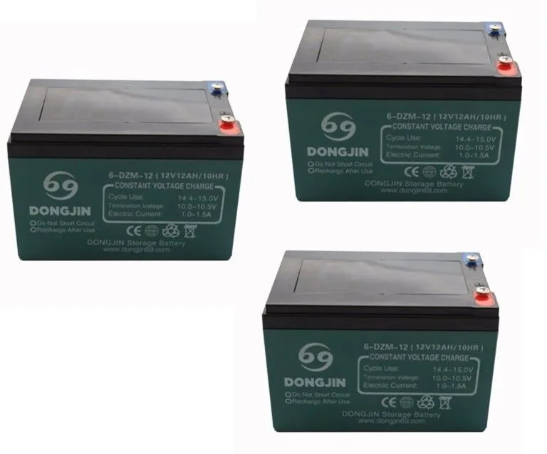 3Pcs 12V 12AH 6-DZM…