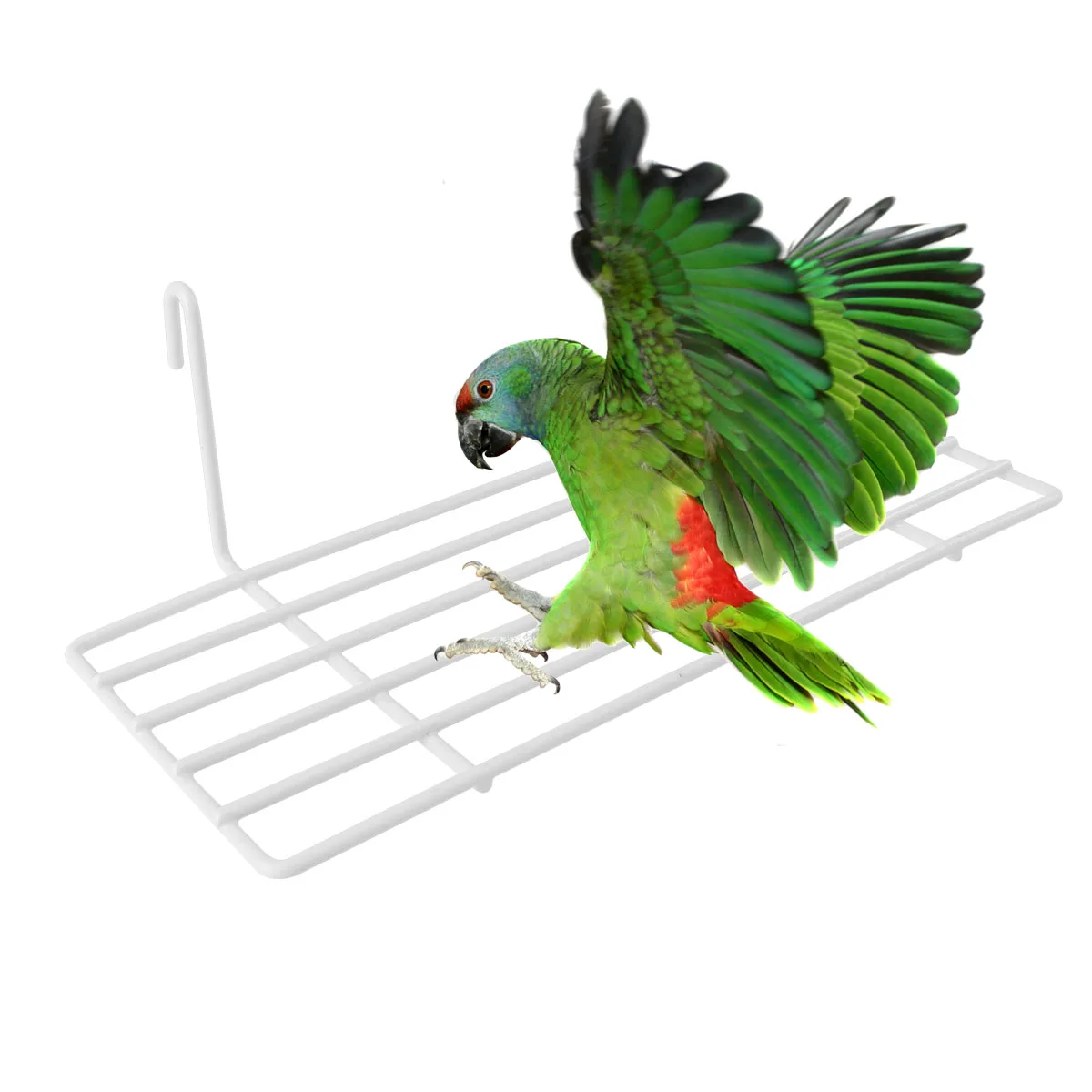 

Iron Wall Shelf for Birdcage Durable Grid Shelves Storage Display Small Plant Parrot Tray Stand Baby Birds Cockatiel Decor Home