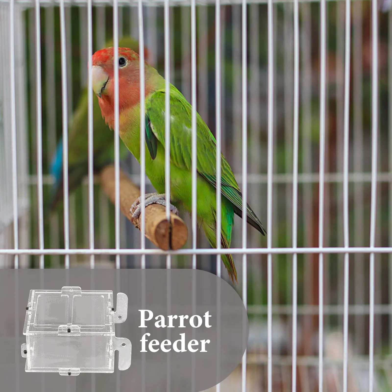 Bird Feeder Acrylic Material Durable Safe Design Large Capacity Smooth Surface Easy Application Creative Protective Design Pet