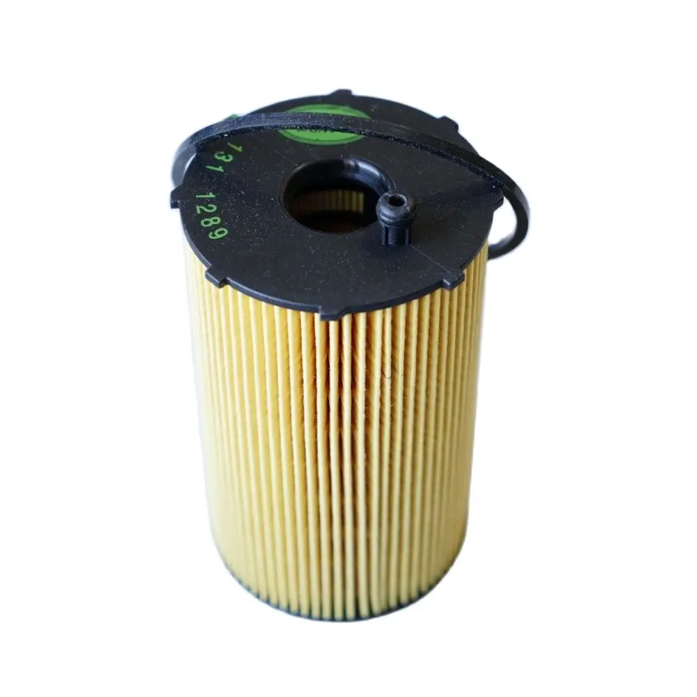 Oil Filter For Land Rover Discovery Range Rover Sport 2.7TD V6 diesel Jaguar S-TYPE/XF 2.7 V6 FOR PEUGEOT 407 OEM: 1109.X7