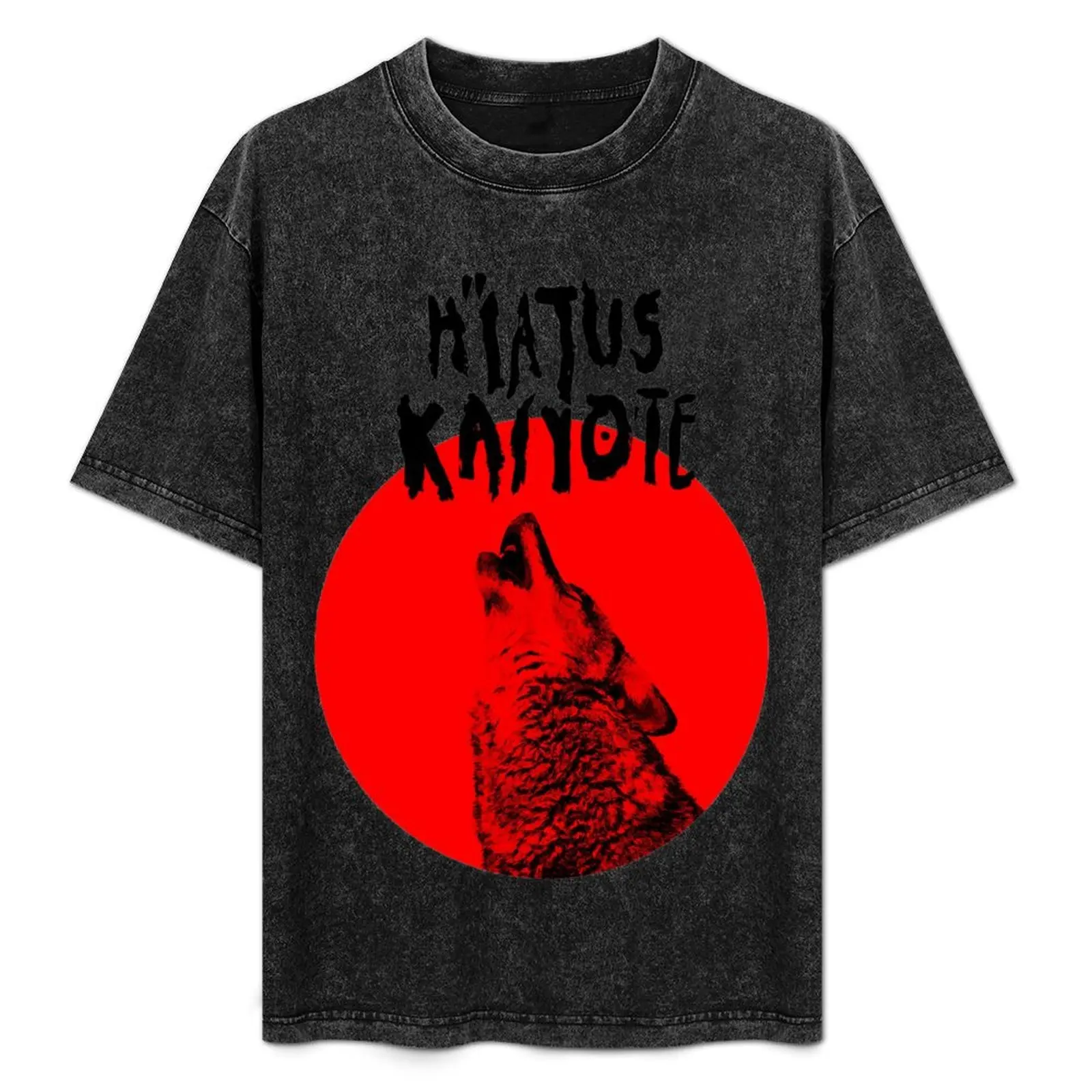 HIATUS KAIYOTE BAND T-Shirt Aesthetic clothing shirts graphic tees Louboutins outfits for men