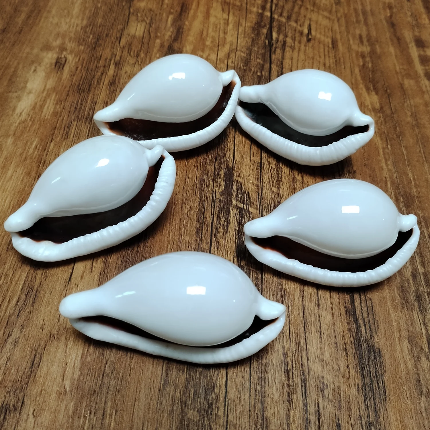 الطبيعية السري Ovula صدف الأبيض اليشم البيضاوي على شكل قذيفة محارة بحري عينة الناسك سرطان البحر خزان الأسماك الزفاف ديكور المنزل