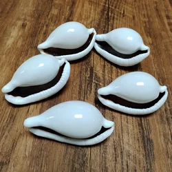 Natural Umbilical Ovula Seashell White Jade Oval-shaped Shell Conch Nautical Specimen Hermit Crab Fish Tank Wedding Home Decor