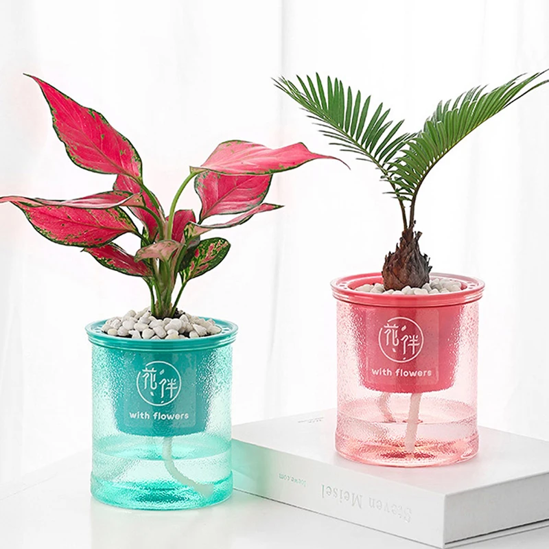 1Pcs Lazy Self-Watering Flower Pot Automatic Water Absorption Succulent Aquaculture Transparent Round Plastic Flower Pot