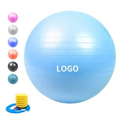 Custom Color Pvc Yoga Ball Fitness 55cm 65cm 75cm Sport Pilates Birthing Ball Training Workout Massage Gym Exercise Ball