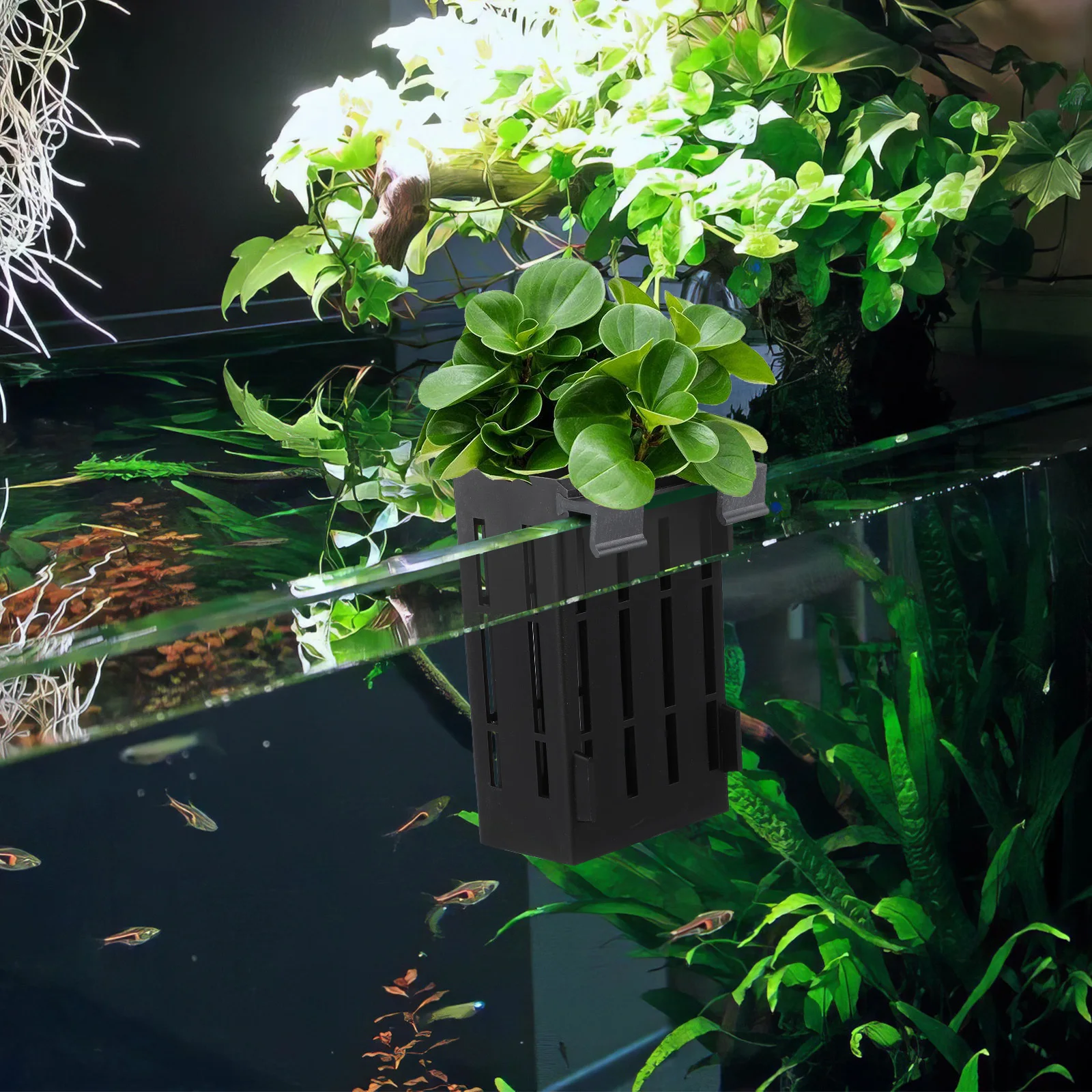 

4Pcs Hanging Aquatic Plant Holders Plastic Aquarium Planters Fish Tank Decoration Supplies for Growth Aquarium Plant Holder