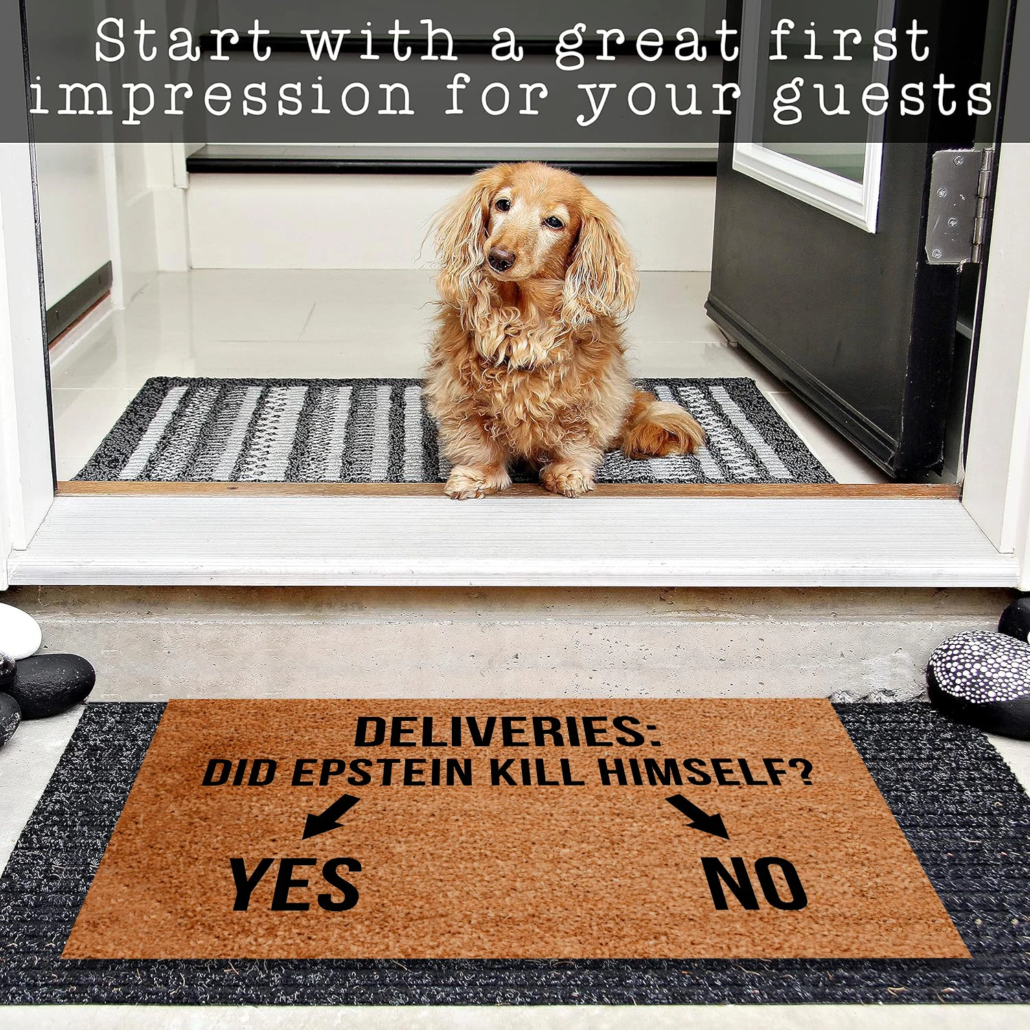 Funny Welcome Doormat for Entrance Did Epstein off himself Yes No Indoor Front Porch Decor Rugs with Anti-Slip Rubber Back