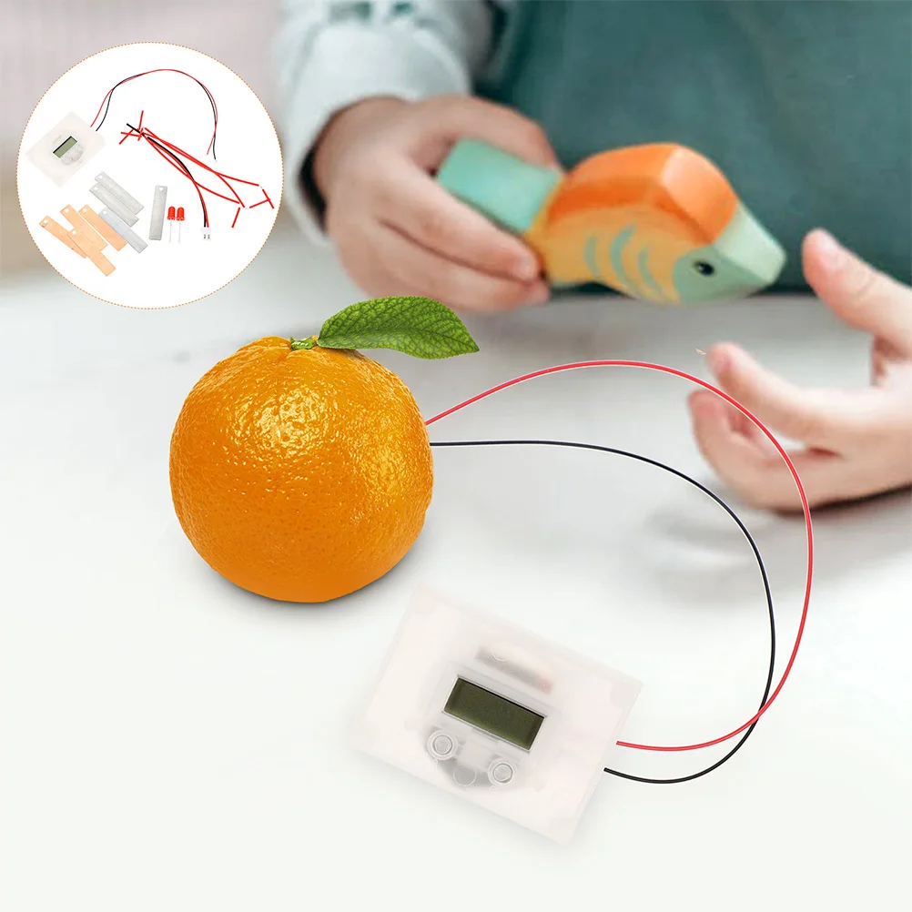 

2 Sets Fruit Battery Experimental Kit Science Project Educational Toys DIY Kit Student Supply Fun Learning