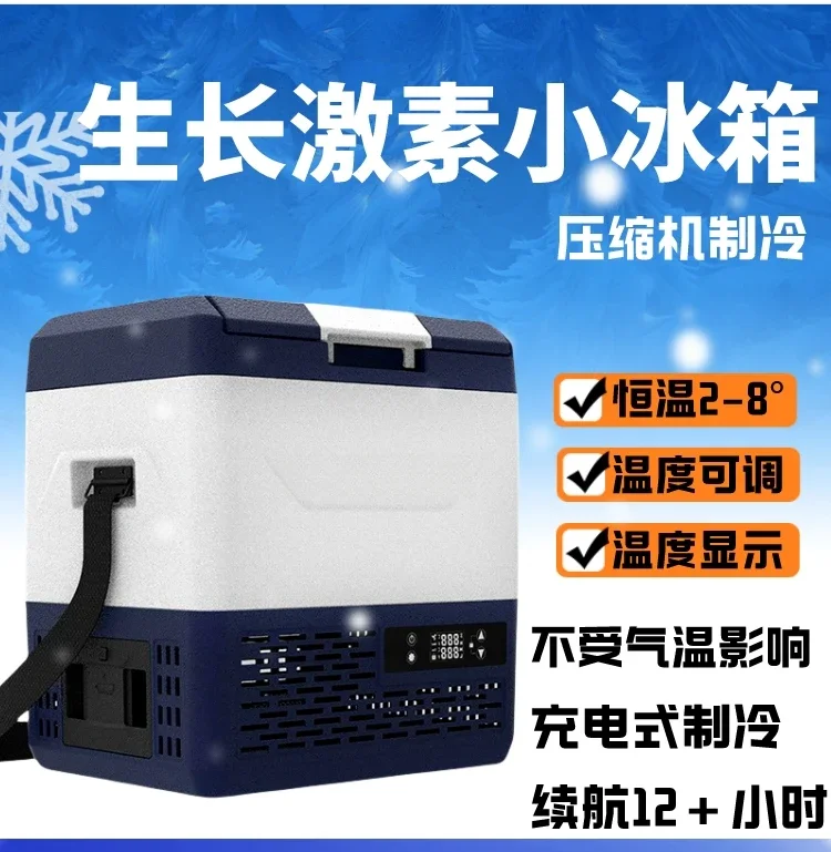 Compressor Refrigeration Pharmaceutical Refrigerator Insulin Growth Hormone Breast Milk Household 2024 New Car Refrigerator