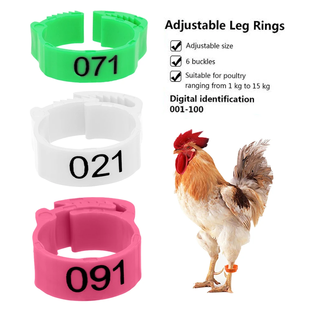 Leg Digital Label Foot Ring Adjustable 100Pcs/set For Chicken Duck Pigeon Buckle Ring Color Randomly