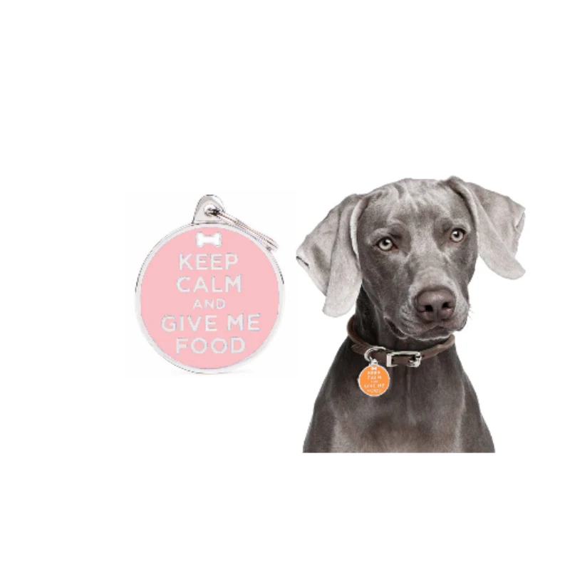 Customized Dog ID Tag Personalized Engraving Pet Cat Name Tags Collar Accessories Anti-lost Necklace Metal Chain Pet Supplies