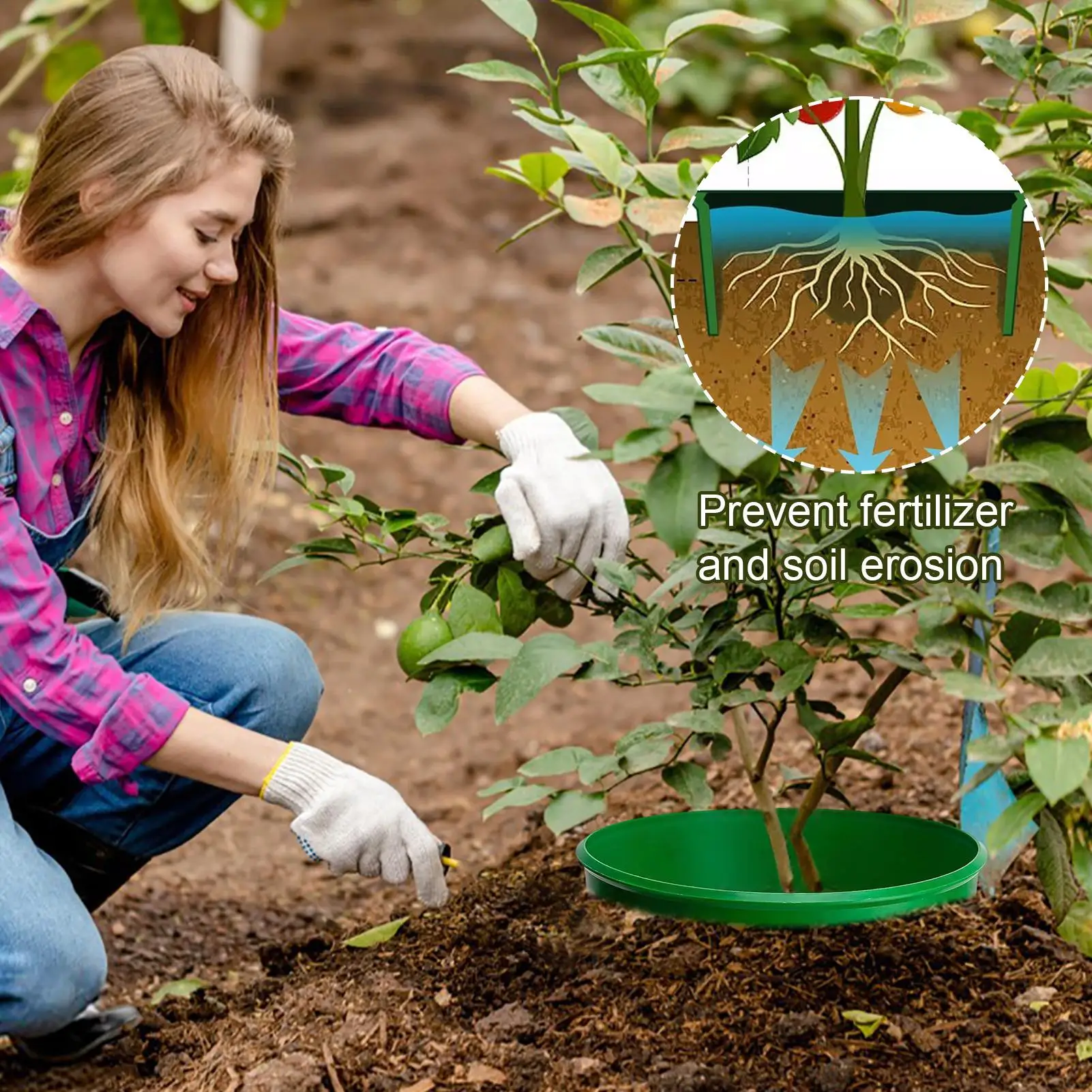 

Grow Rings For Plants 6 Pieces Border Edge Round Grow Rings For Outdoor Lawn Yard Greenhouse Vegetable Shrub Flower Bed