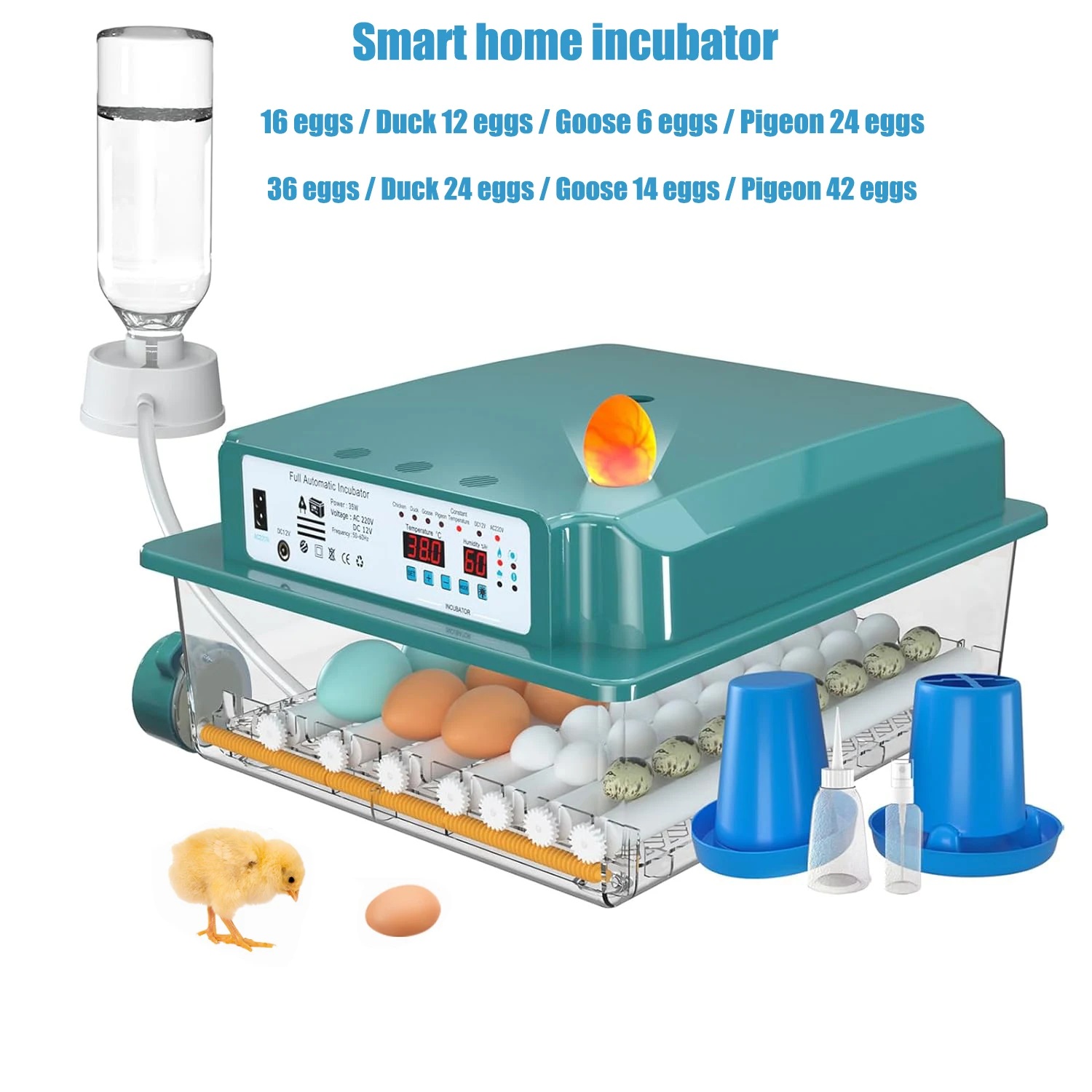 EU Plug Eggs Incubator 16/36 Eggs Digita Mini Automatie Incubatores for Hatching Goose Quail Chicken Egg Hatching