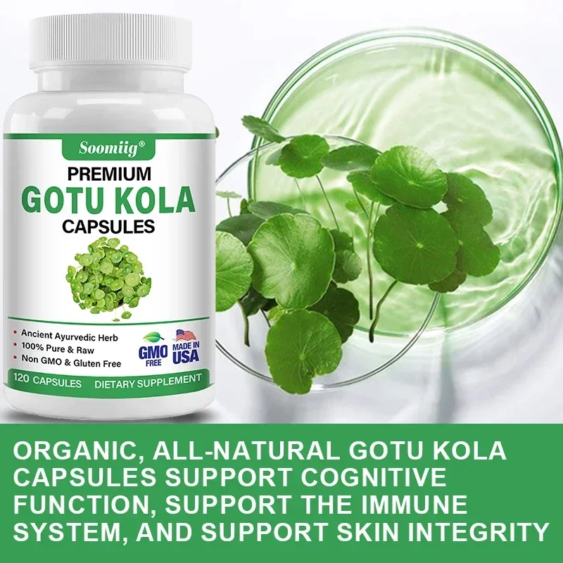 Soomiig Gotu Kola Leaf Capsules - Brain, Cognition, Immune System, Skin, Energy & Circulation Supplement, Non-GMO & Gluten Free