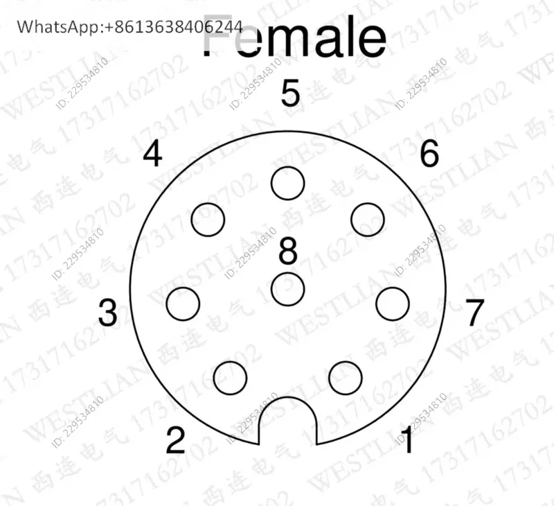 Lumberg 8-pin hole M12 female with shielded cable signal cable RKTS 8-299/5 M