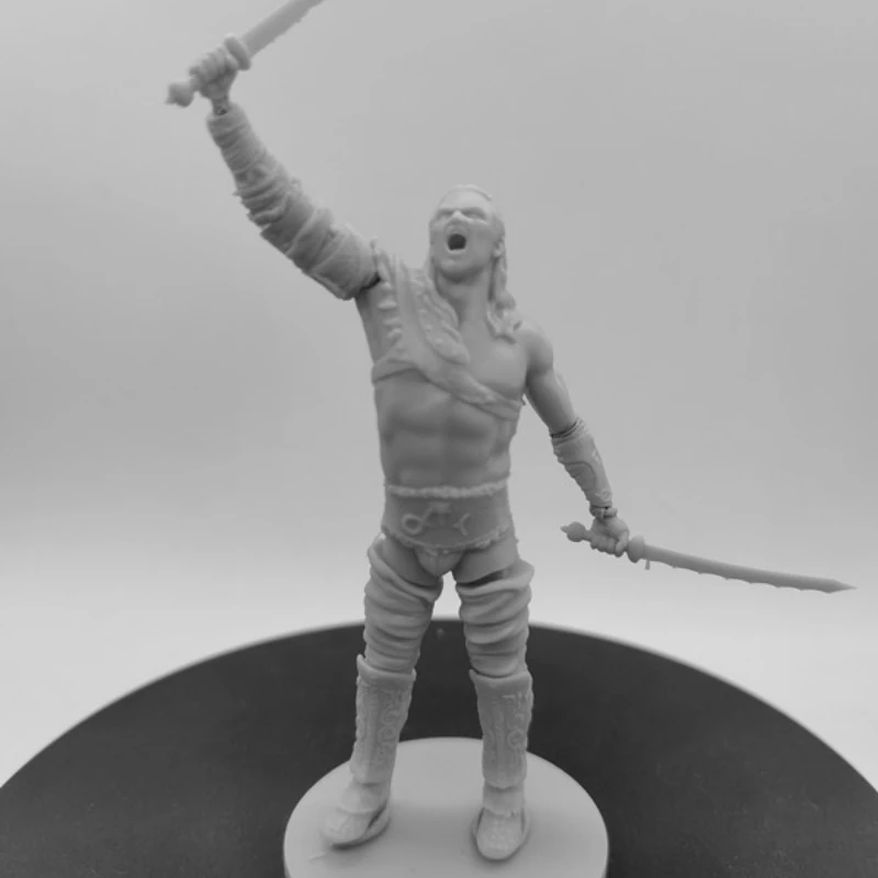 

1/24 Scale 80mm Resin Figure Assemble Model Kit Gladiator Gannicus Unassembled Unpainted 3D printing toy