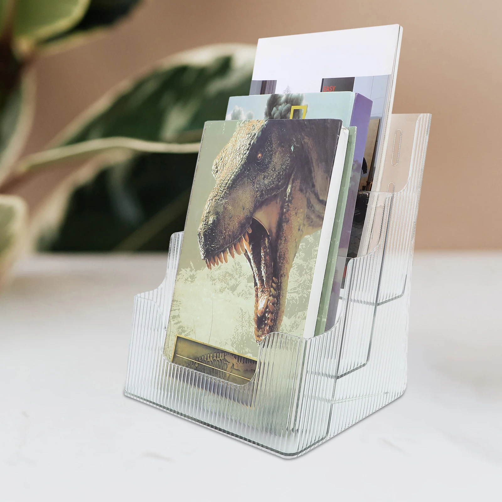 

Vertical Storage Rack Office Desktop Stand Acrylic Tabletop Organizer Transparent Space-Saving Document Folder for Home