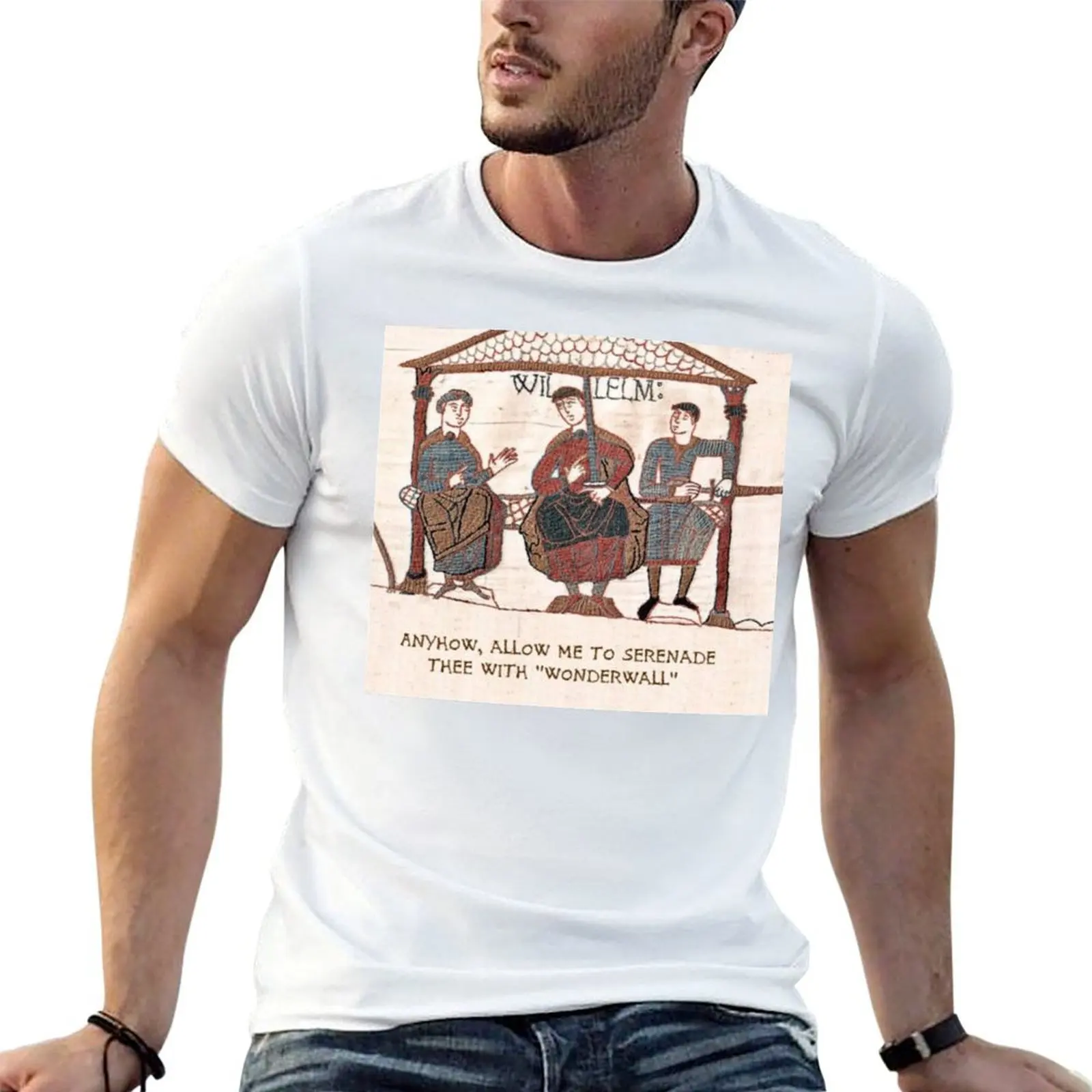 Funny Medieval meme - Anyhow Allow me to Serenade thee with Wonderwall T-Shirt t shirt man cotton T-Shirt