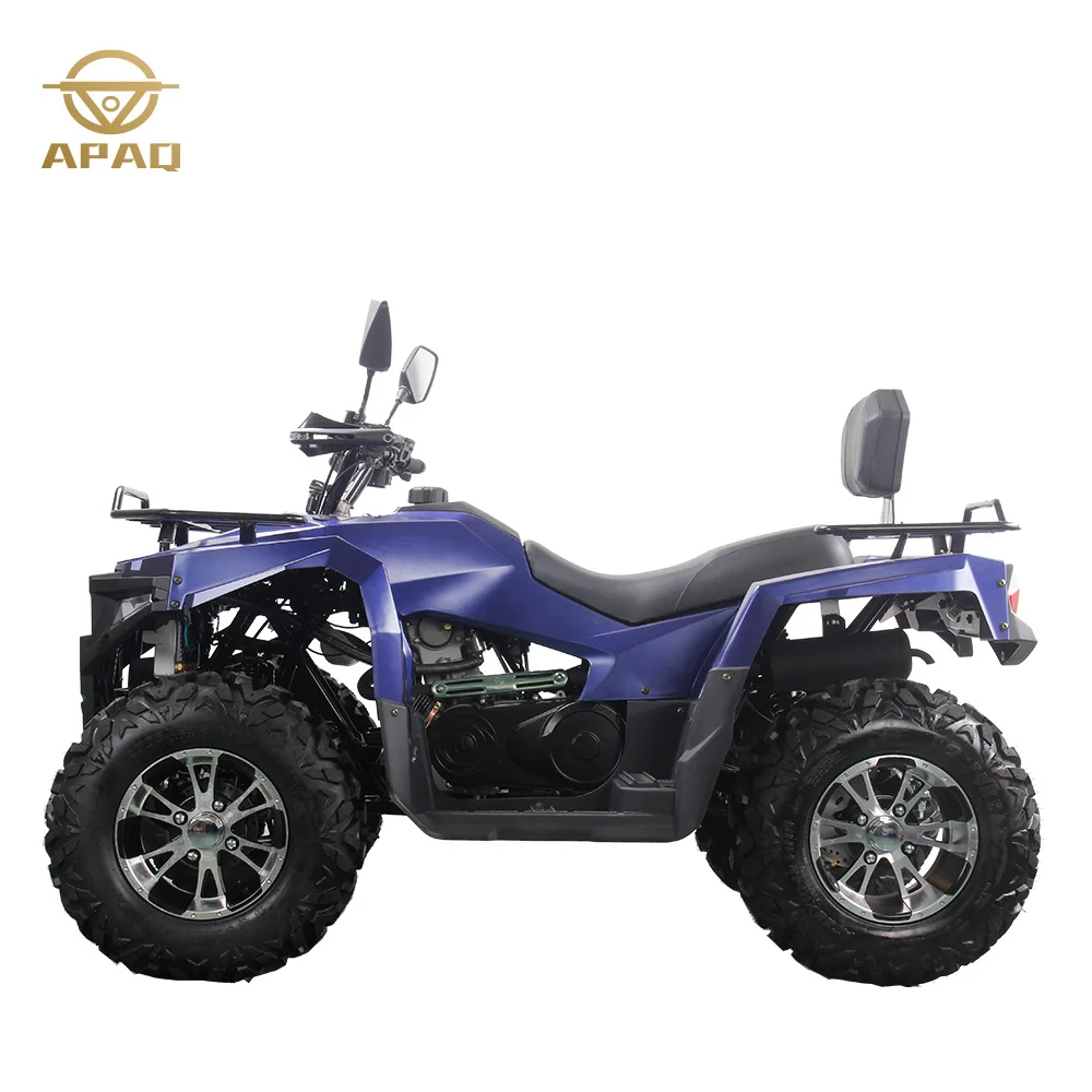 Atvs 성인용 오프로드 사륜 오토바이, ATV UTV 농장 모터, 쿼드 모토 바이크, 300cc