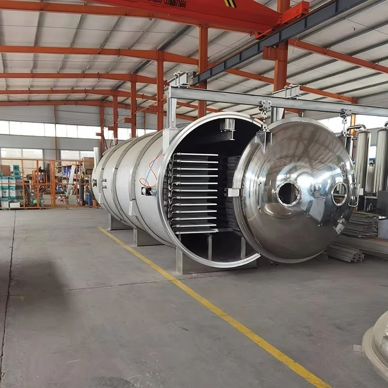 Customized Vacuum Freeze Dryer Freezer Machine PLC-Integrated Lyophilizer for Food Fruit Vegetable Seafood Preservation