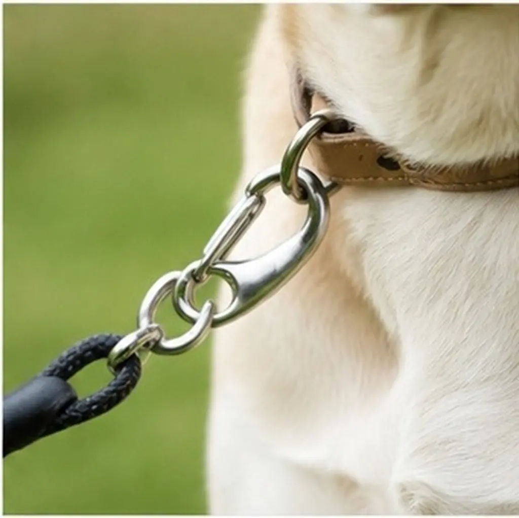 Stainless Steel Wire Rope Shackles 2Pcs Egg Shape Buckles Heavy Duty Locks for Tent Pet Chain Climbing