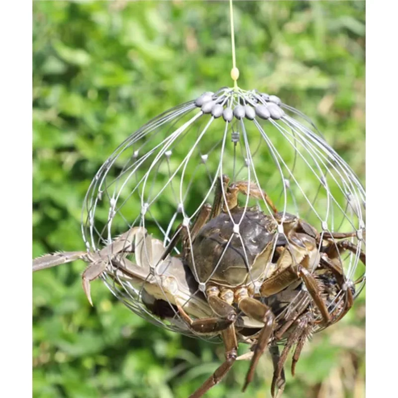 1 Stück Fischernetz käfig automatisch offen schließende Fisch krabben falle Netz Stahldraht für Salzwasser Meerwasser Outdoor Angel zubehör