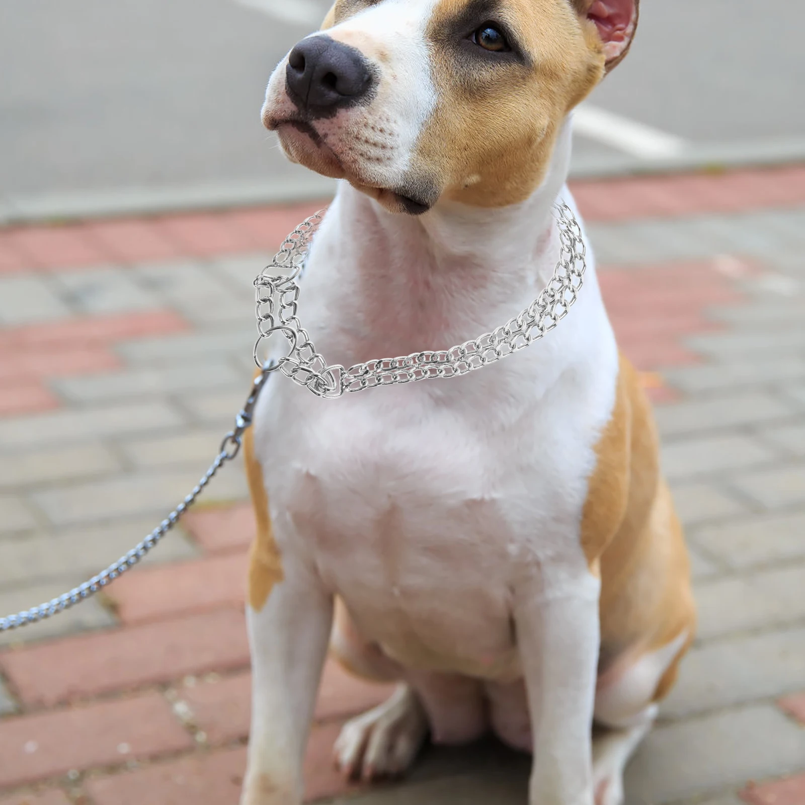 

Adjustable Dog Collar Chrome-plated Pet Chain Collars Metal Training Choker for