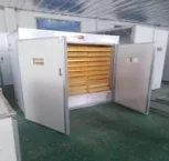 Hot Sale Full Automatic High Hatching Rate 5000 Chick Eggs Big Incubator For Industry In South Africa For Sale Dual Power Supply