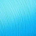 Blue 100m