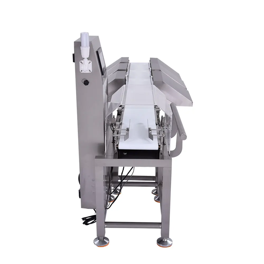 Specialized Production in China High Accuracy Weight Sorting Machine for Frozen Fish Meat