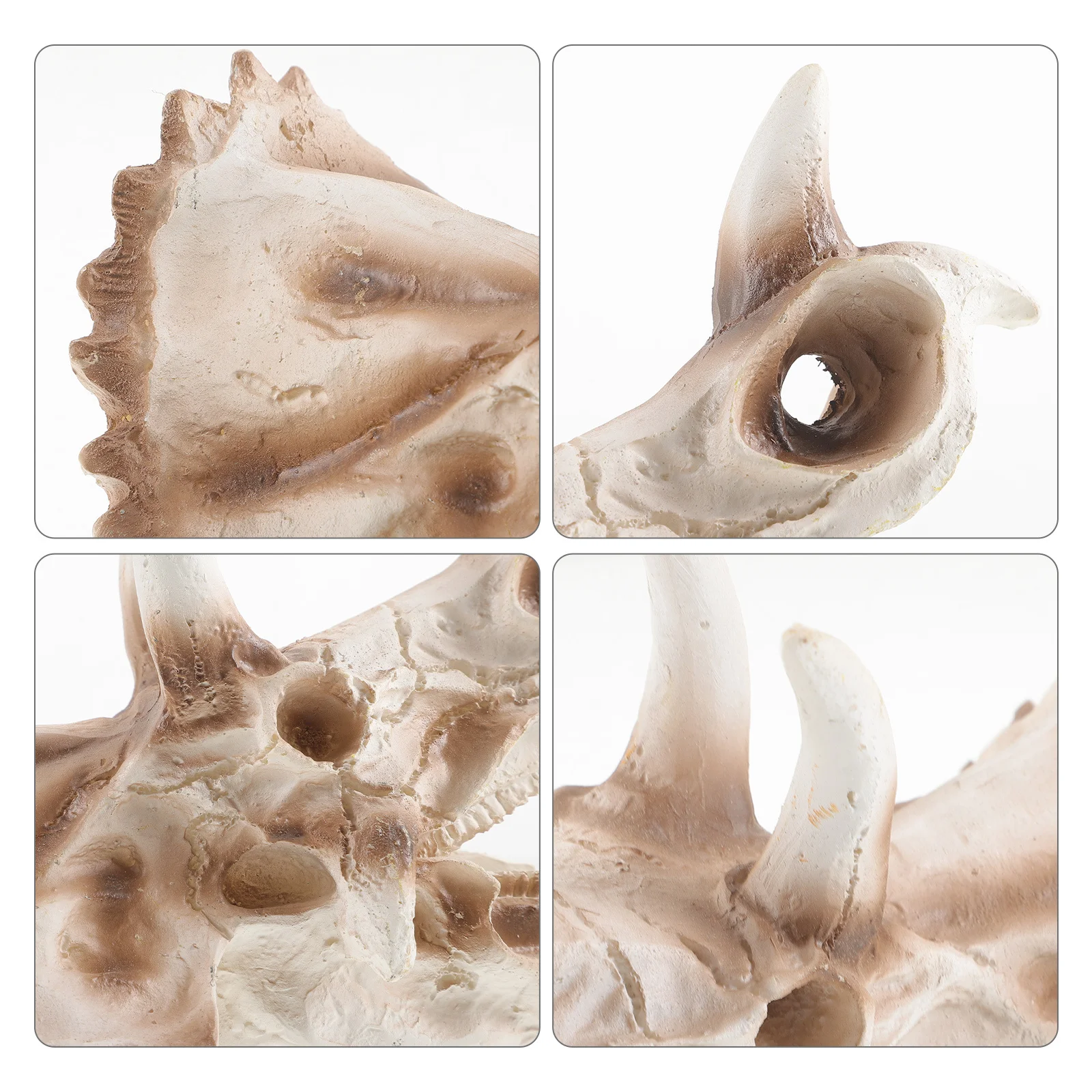 

Durable Resin Dinosaur Skull Decor Creative Home Office Adornment Lightweight Compact Exquisite Craft Fine Workmanship