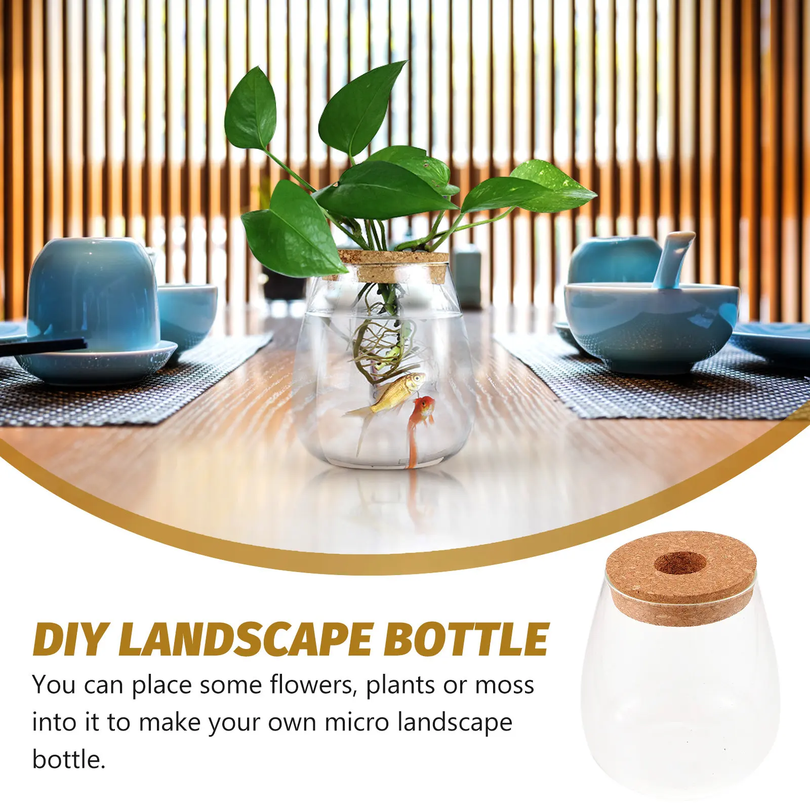 Bryophyte Ecological Bottle DIY Microlandscape Creative Hydroponic Vase Desk Glass Planter Flower