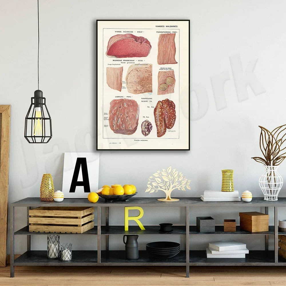 1952 Rotten Meat Poster, Retro Beef, Pig, Cow, Sheep, Mutton Home Cuts, Retro Restaurant Butcher Menu Kitchen Decor